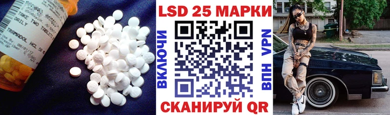 LSD-25 экстази ecstasy  Камышлов 