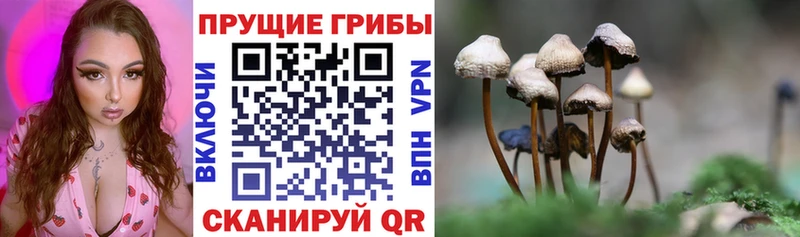 omg маркетплейс  Камышлов  Галлюциногенные грибы GOLDEN TEACHER 