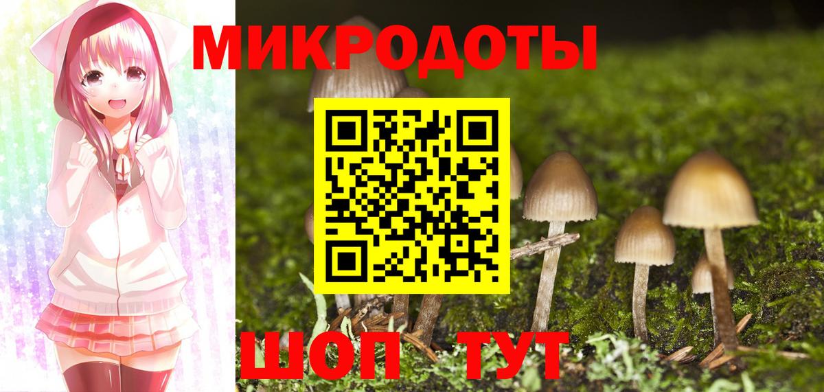 Галлюциногенные грибы мицелий  хочу   Камышлов  Вход с VPN  Галлюциногенные грибы Cubensis 