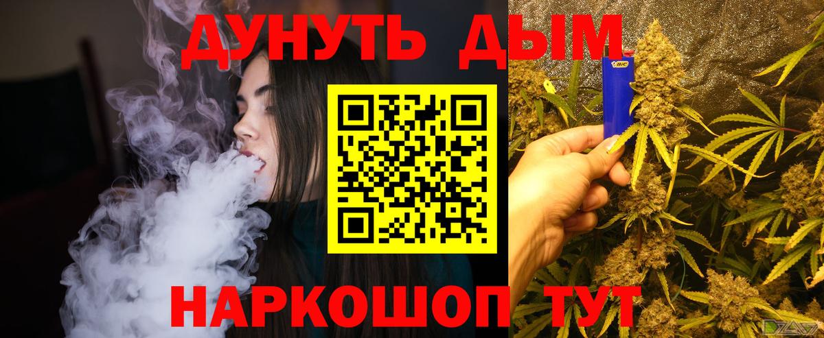 Каннабис сатива  Бошки марихуана план  Вход с VPN  Камышлов  МАРИХУАНА THC 21%  Бошки Шишки Bruce Banner 